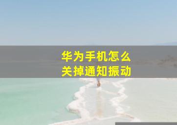 华为手机怎么关掉通知振动