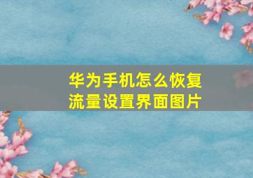 华为手机怎么恢复流量设置界面图片