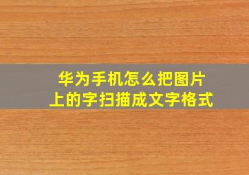 华为手机怎么把图片上的字扫描成文字格式