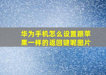 华为手机怎么设置跟苹果一样的返回键呢图片