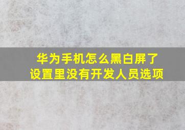 华为手机怎么黑白屏了设置里没有开发人员选项