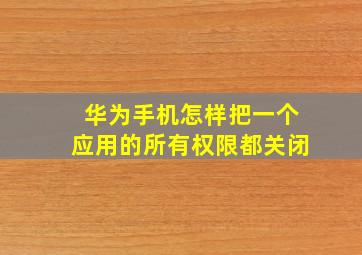 华为手机怎样把一个应用的所有权限都关闭