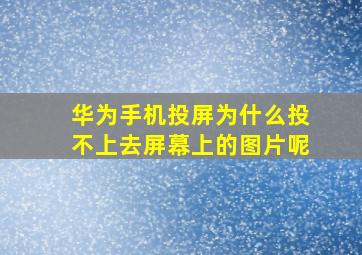 华为手机投屏为什么投不上去屏幕上的图片呢