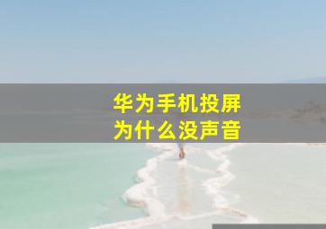 华为手机投屏为什么没声音