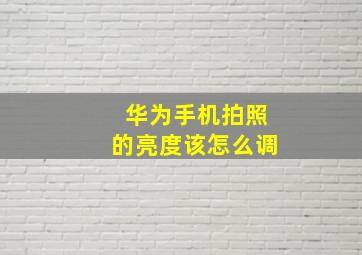 华为手机拍照的亮度该怎么调