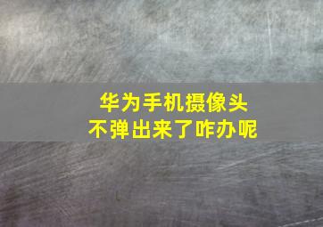 华为手机摄像头不弹出来了咋办呢