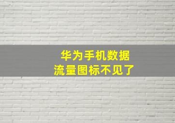 华为手机数据流量图标不见了