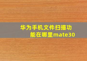 华为手机文件扫描功能在哪里mate30