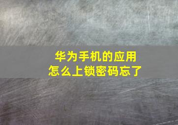 华为手机的应用怎么上锁密码忘了