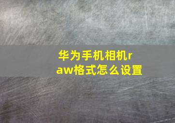 华为手机相机raw格式怎么设置