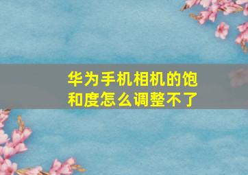 华为手机相机的饱和度怎么调整不了