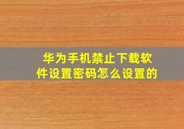 华为手机禁止下载软件设置密码怎么设置的