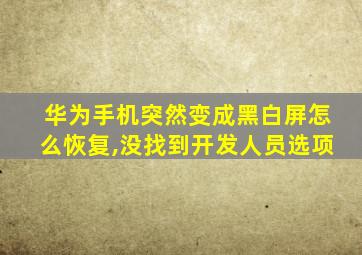 华为手机突然变成黑白屏怎么恢复,没找到开发人员选项