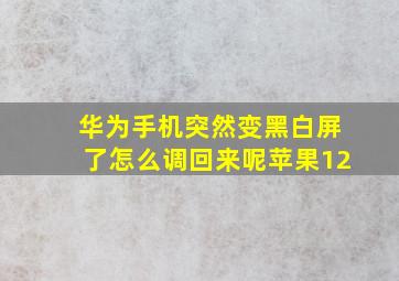 华为手机突然变黑白屏了怎么调回来呢苹果12