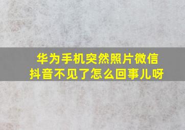 华为手机突然照片微信抖音不见了怎么回事儿呀