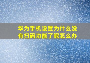 华为手机设置为什么没有扫码功能了呢怎么办