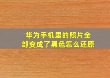 华为手机里的照片全部变成了黑色怎么还原