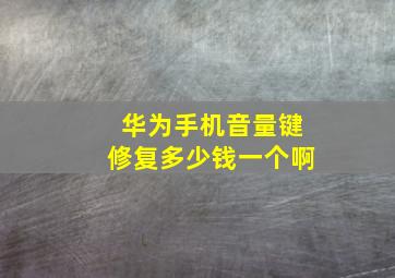 华为手机音量键修复多少钱一个啊