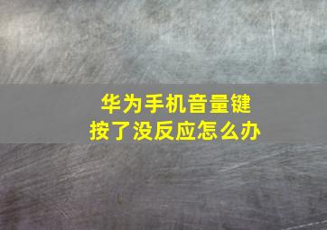 华为手机音量键按了没反应怎么办