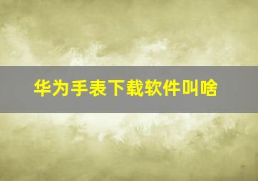 华为手表下载软件叫啥