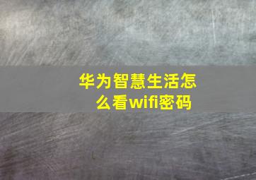 华为智慧生活怎么看wifi密码