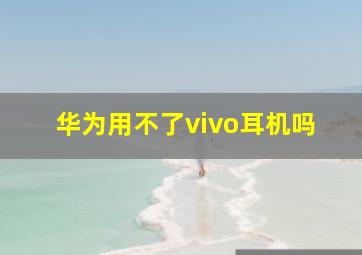 华为用不了vivo耳机吗