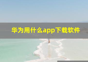 华为用什么app下载软件