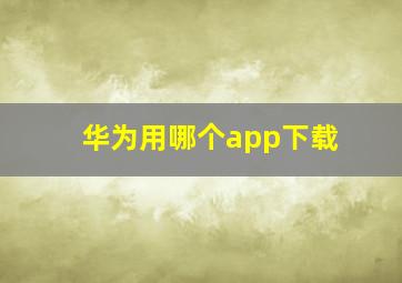 华为用哪个app下载