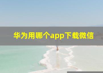 华为用哪个app下载微信