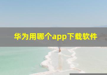 华为用哪个app下载软件