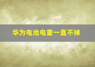 华为电池电量一直不掉