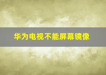 华为电视不能屏幕镜像