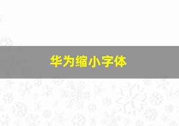 华为缩小字体