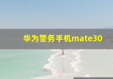 华为警务手机mate30