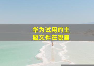 华为试用的主题文件在哪里