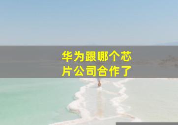 华为跟哪个芯片公司合作了