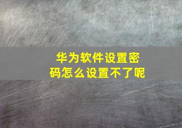 华为软件设置密码怎么设置不了呢