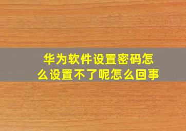 华为软件设置密码怎么设置不了呢怎么回事