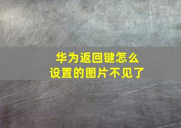 华为返回键怎么设置的图片不见了