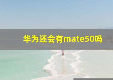 华为还会有mate50吗