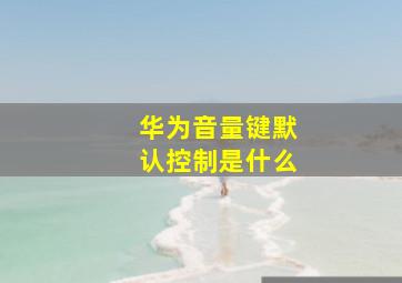 华为音量键默认控制是什么