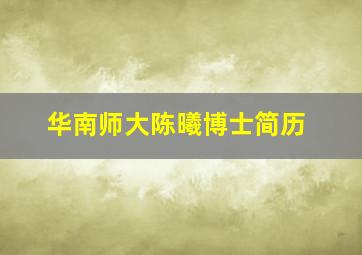 华南师大陈曦博士简历