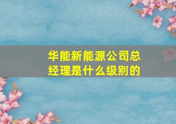 华能新能源公司总经理是什么级别的