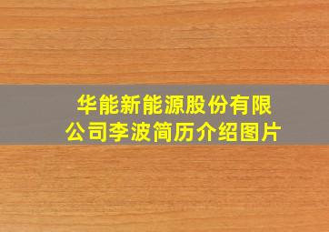 华能新能源股份有限公司李波简历介绍图片