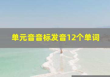 单元音音标发音12个单词