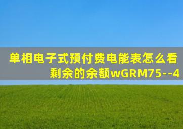 单相电子式预付费电能表怎么看剩余的余额wGRM75--4