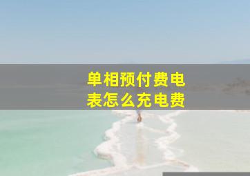 单相预付费电表怎么充电费