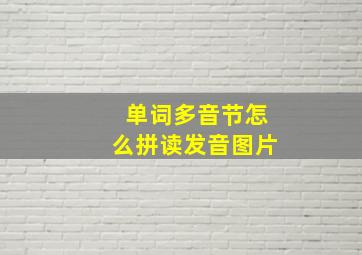 单词多音节怎么拼读发音图片