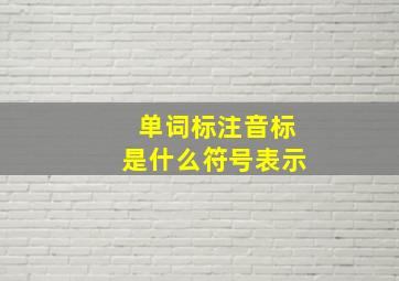 单词标注音标是什么符号表示