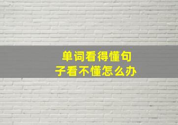 单词看得懂句子看不懂怎么办